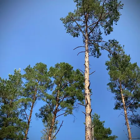 Modern House - Nowoczesna Stodola 15 M Od Jeziora,ogrzewanie,wifi