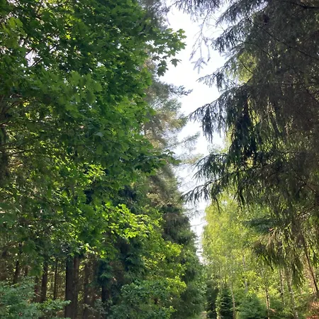 Modern House - Bon Turystyczny,15 M Od Jeziora,ogrzewanie,wifi Makosieje