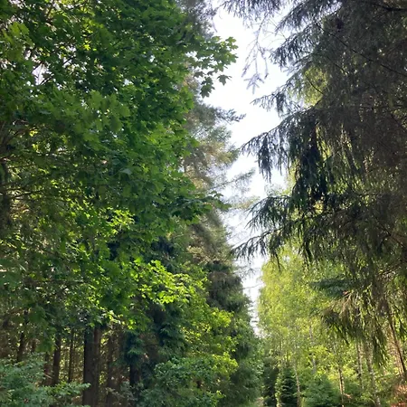 Mazury - 15 M Od Jeziora Makosieje